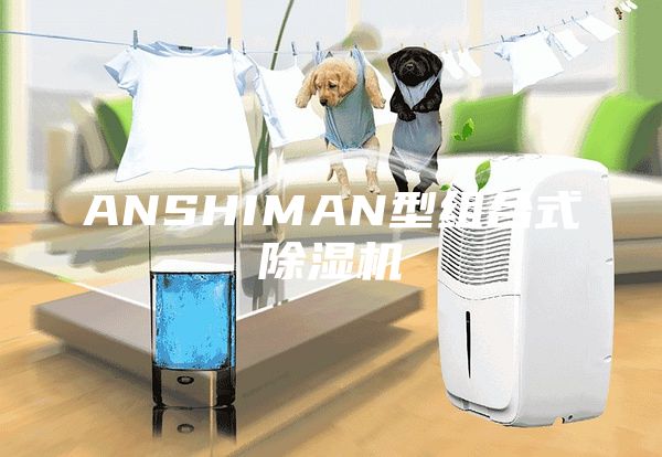 ANSHIMAN型组合式除湿机