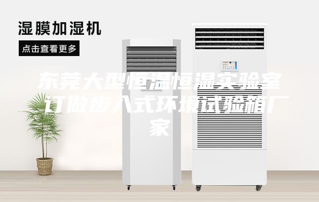 东莞大型恒温恒湿实验室 订做步入式环境试验箱厂家