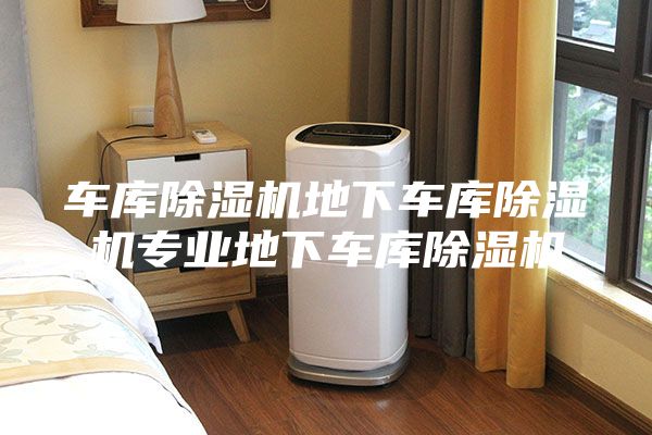 车库除湿机地下车库除湿机专业地下车库除湿机