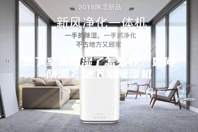 地下室太潮湿了怎么办？如何防潮？地下室除湿机