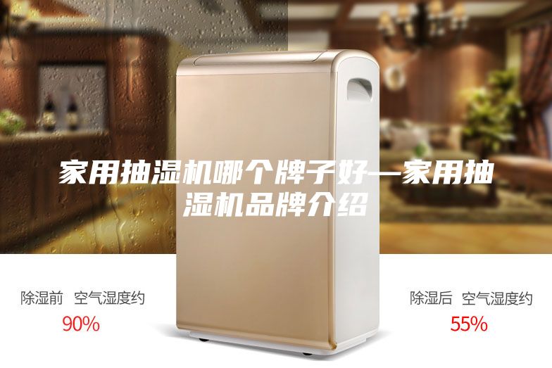 家用抽湿机哪个牌子好—家用抽湿机品牌介绍