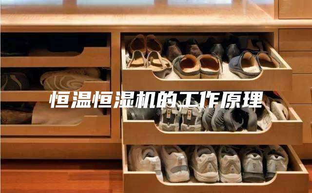 恒温恒湿机的工作原理
