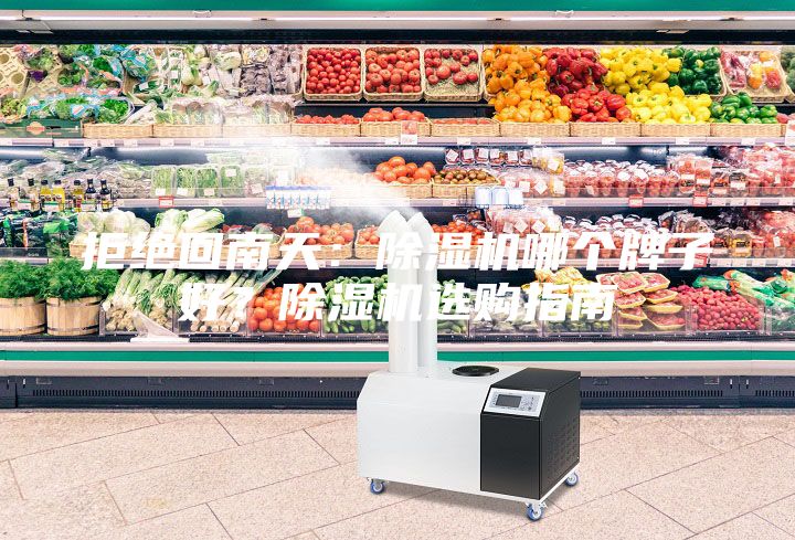拒绝回南天：除湿机哪个牌子好？除湿机选购指南