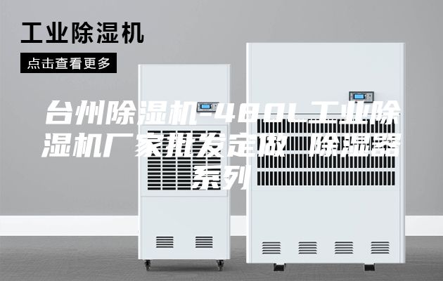 台州除湿机-480L工业除湿机厂家批发定做 除湿器系列