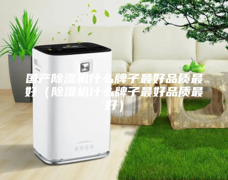 国产除湿机什么牌子最好品质最好（除湿机什么牌子最好品质最好）