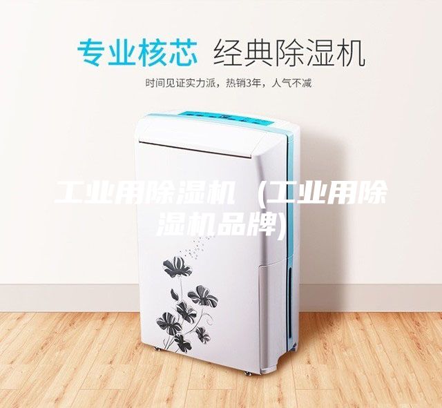 工业用除湿机 (工业用除湿机品牌)