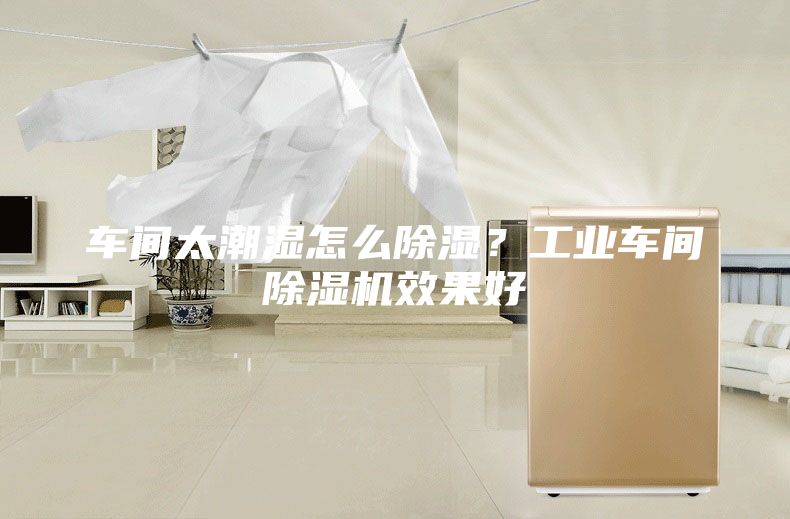 车间太潮湿怎么除湿？工业车间除湿机效果好