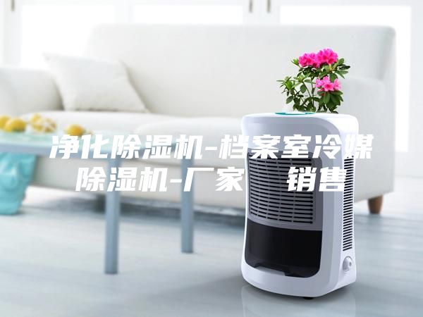 净化除湿机-档案室冷媒除湿机-厂家  销售