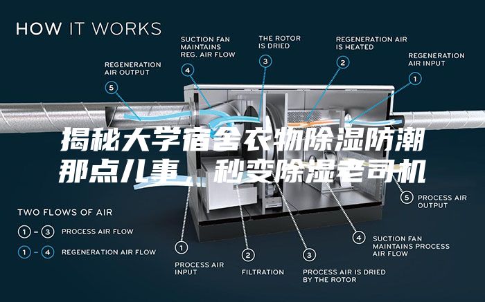 揭秘大学宿舍衣物除湿防潮那点儿事，秒变除湿老司机