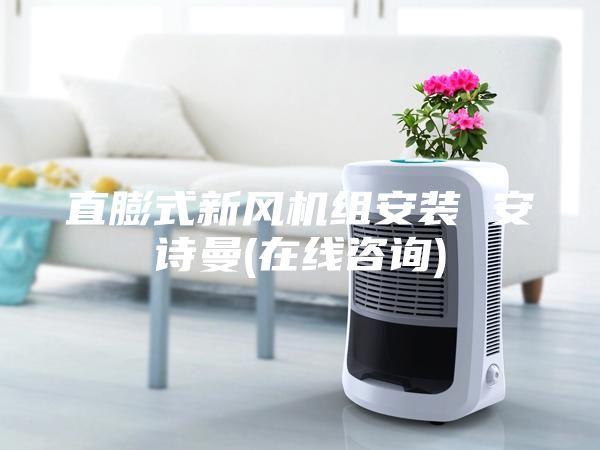 直膨式新风机组安装 安诗曼(在线咨询)