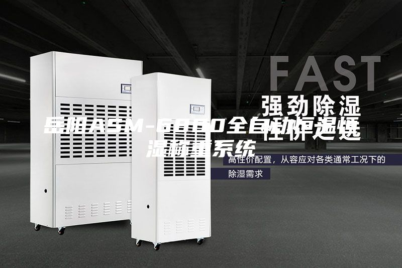 岳阳ASM-6800全自动恒温恒湿称重系统