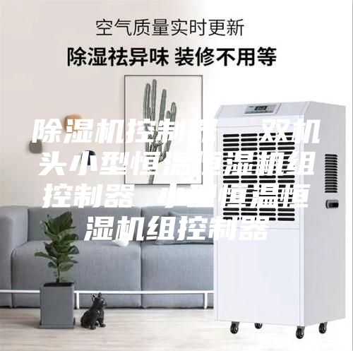 除湿机控制器  双机头小型恒温恒湿机组控制器 小型恒温恒湿机组控制器
