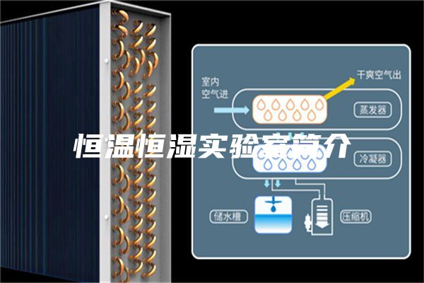 恒温恒湿实验室简介