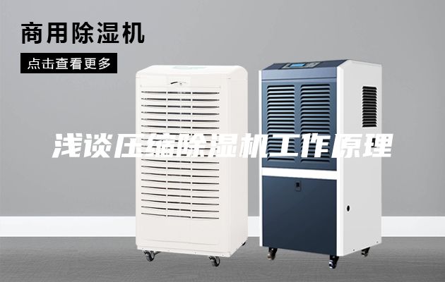 浅谈压缩除湿机工作原理