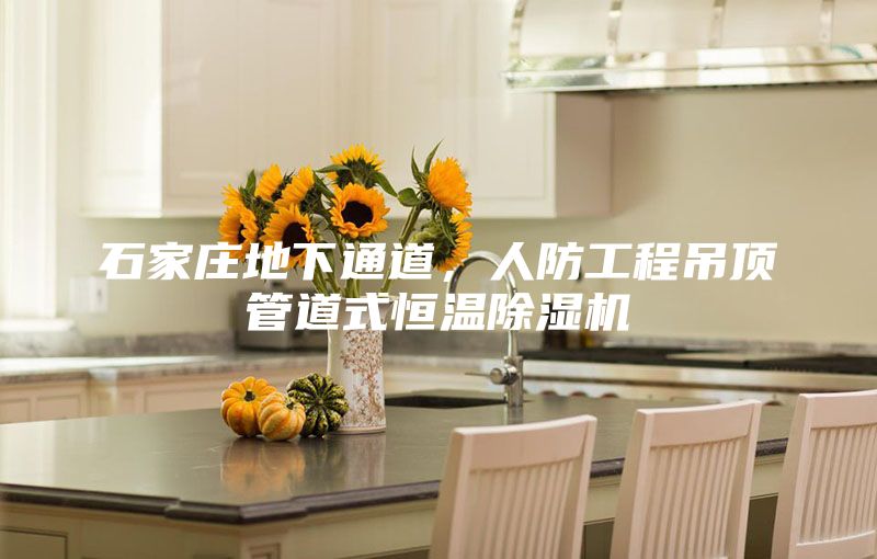 石家庄地下通道，人防工程吊顶管道式恒温除湿机