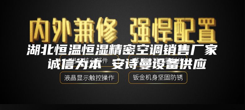 湖北恒温恒湿精密空调销售厂家 诚信为本 安诗曼设备供应