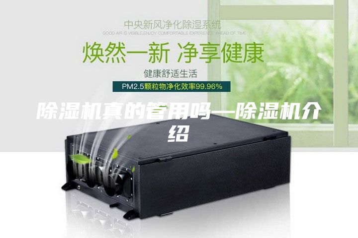 除湿机真的管用吗—除湿机介绍