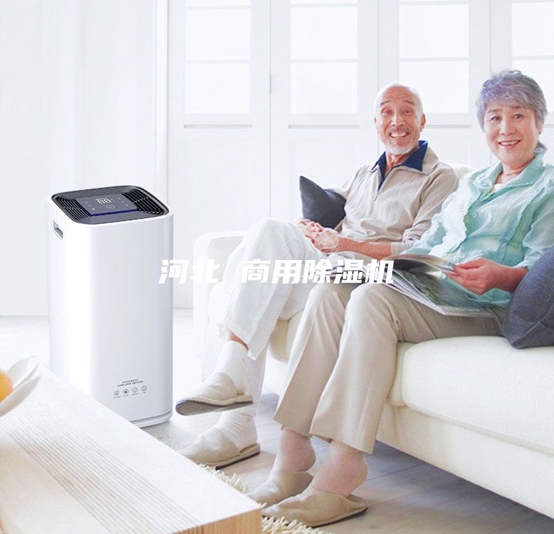 河北 商用除湿机