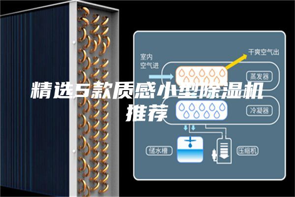 精选5款质感小型除湿机推荐
