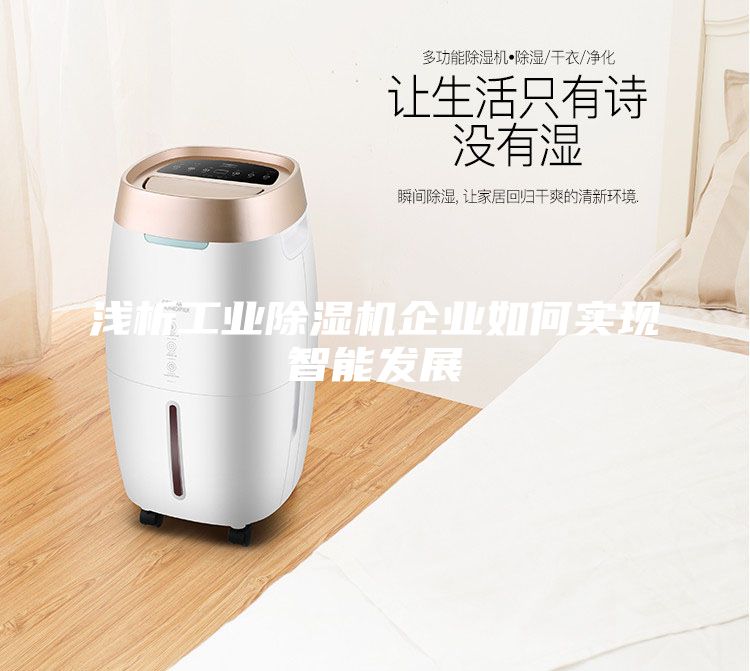 浅析工业除湿机企业如何实现智能发展
