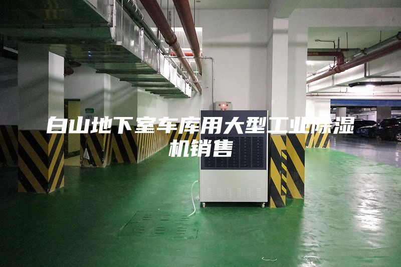 白山地下室车库用大型工业除湿机销售