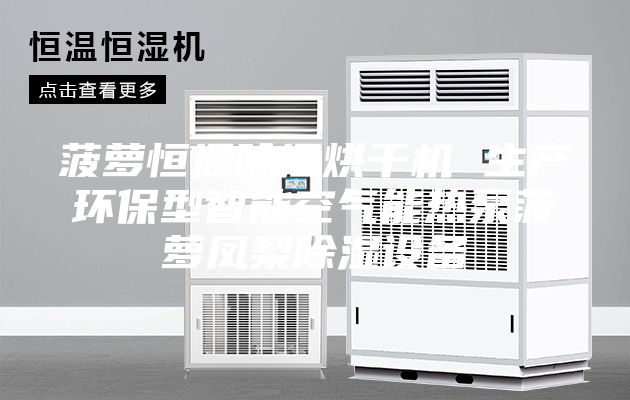 菠萝恒温除湿烘干机 生产环保型智能空气能热泵菠萝凤梨除湿设备
