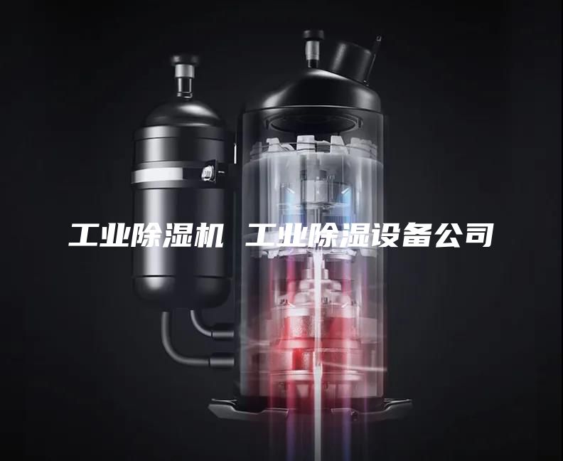 工业除湿机 工业除湿设备公司