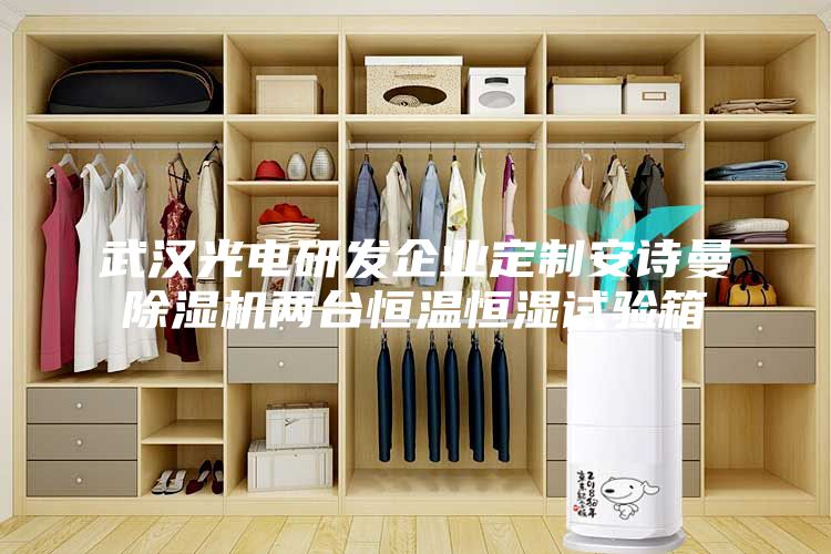 武汉光电研发企业定制安诗曼除湿机两台恒温恒湿试验箱