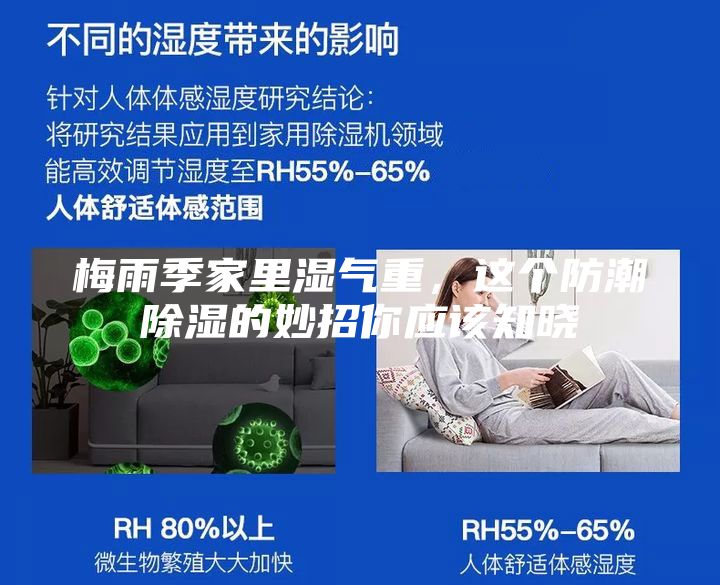 梅雨季家里湿气重，这个防潮除湿的妙招你应该知晓