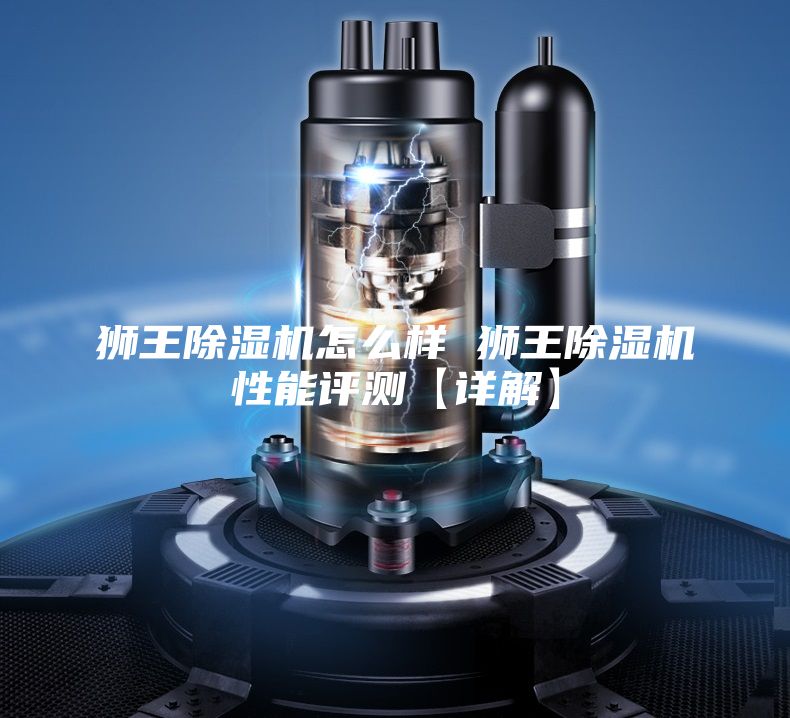 狮王除湿机怎么样 狮王除湿机性能评测【详解】