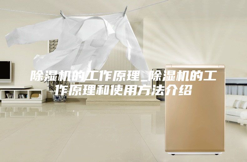 除湿机的工作原理_除湿机的工作原理和使用方法介绍