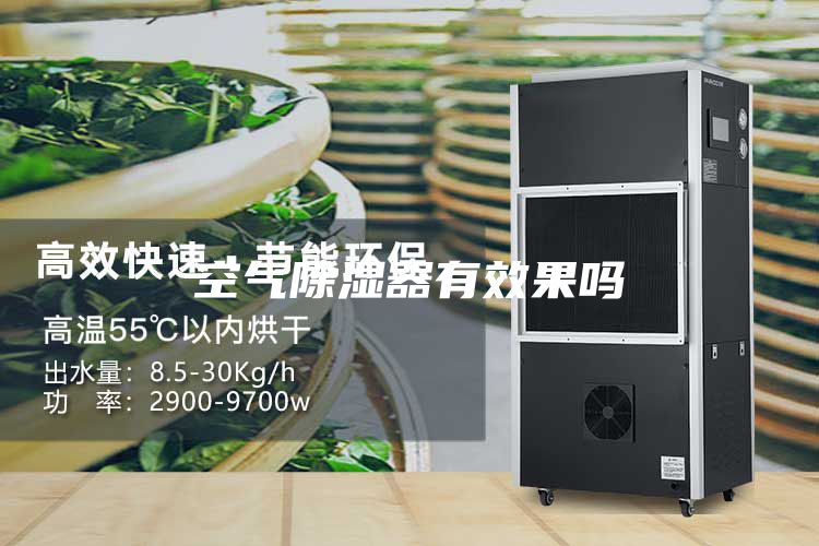 空气除湿器有效果吗
