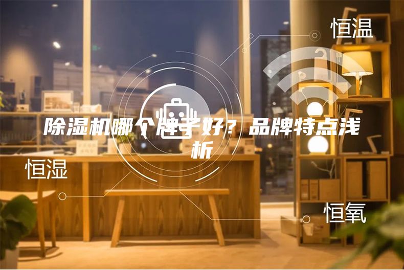 除湿机哪个牌子好？品牌特点浅析