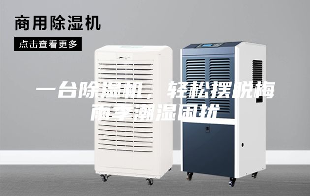 一台除湿机，轻松摆脱梅雨季潮湿困扰