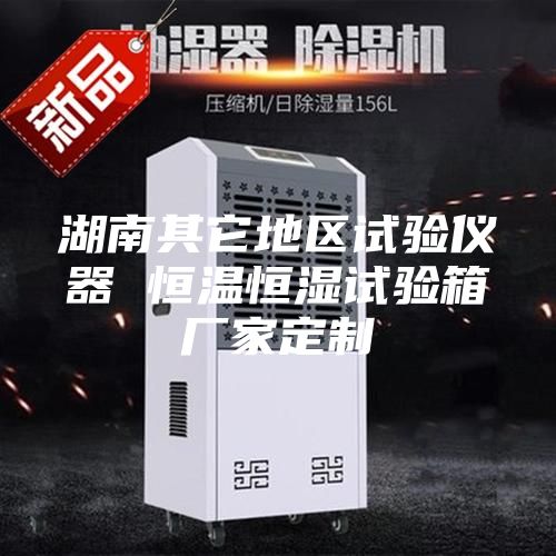 湖南其它地区试验仪器 恒温恒湿试验箱厂家定制