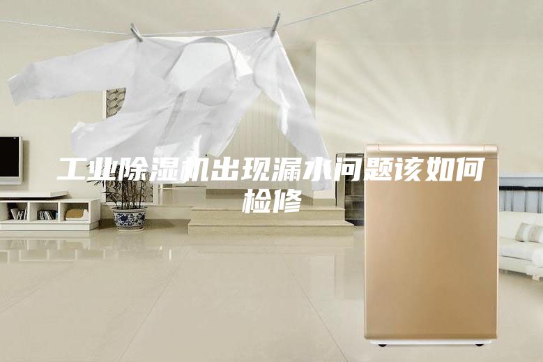 工业除湿机出现漏水问题该如何检修
