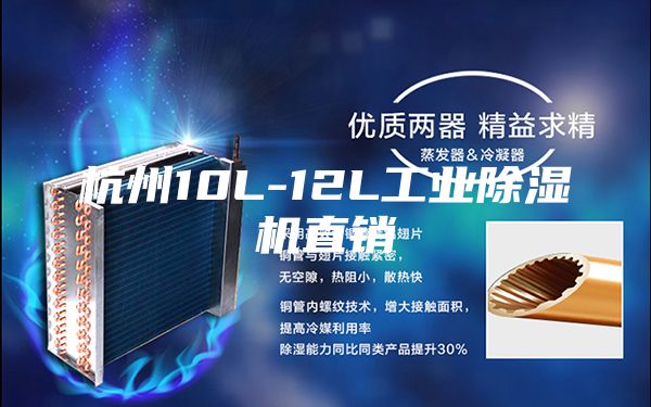 杭州10L-12L工业除湿机直销
