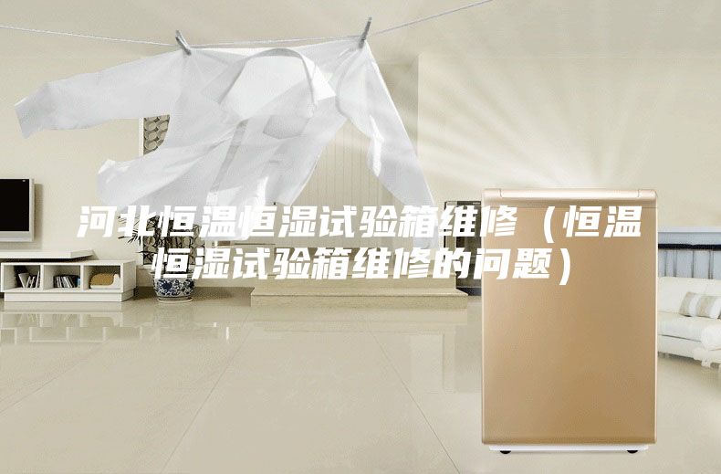 河北恒温恒湿试验箱维修（恒温恒湿试验箱维修的问题）
