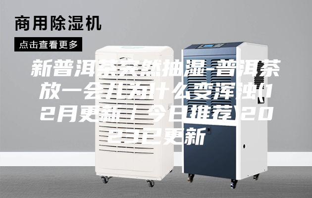 新普洱茶突然抽湿-普洱茶放一会儿为什么变浑浊(12月更新／今日推荐)2023已更新