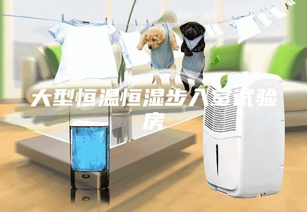 大型恒温恒湿步入室试验房