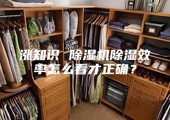 涨知识 除湿机除湿效率怎么看才正确？