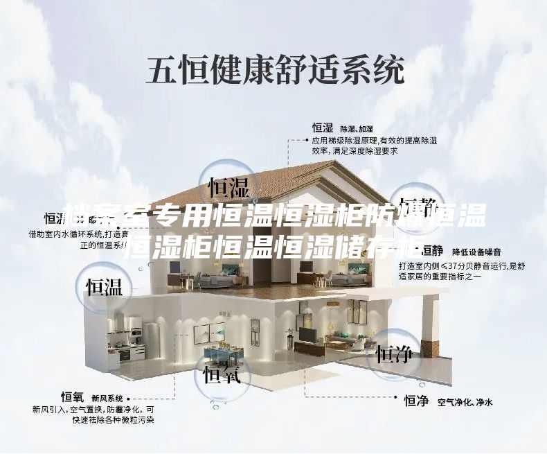 档案室专用恒温恒湿柜防爆恒温恒湿柜恒温恒湿储存柜