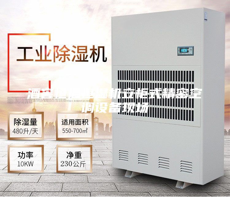 酒窖恒温恒湿机立柜式精密空调设备现场