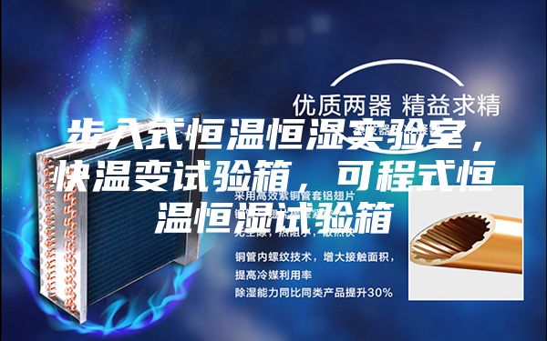 步入式恒温恒湿实验室，快温变试验箱，可程式恒温恒湿试验箱