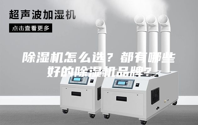 除湿机怎么选？都有哪些好的除湿机品牌？