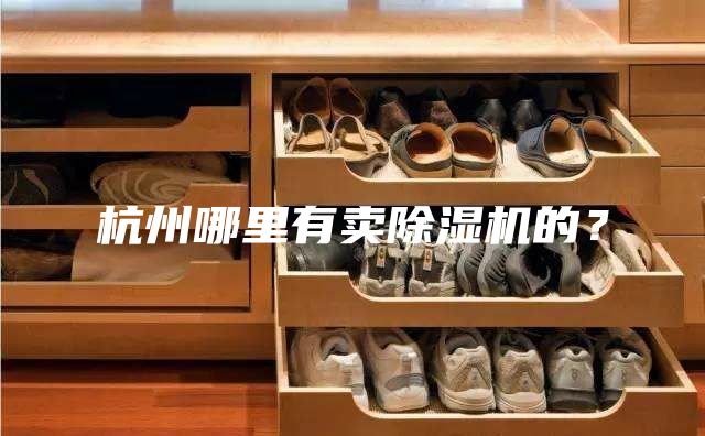 杭州哪里有卖除湿机的？