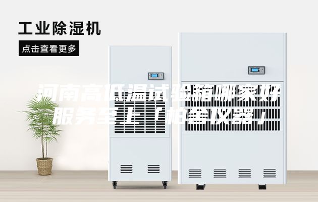 河南高低温试验箱哪家好服务至上「柏舍仪器」