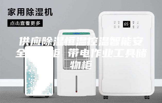 供应除湿恒温控温智能安全工具柜 带电作业工具储物柜