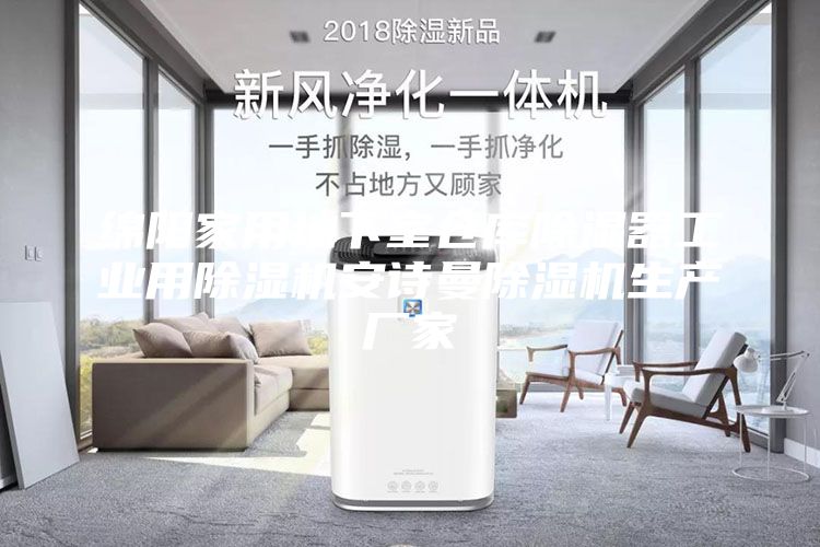 绵阳家用地下室仓库除湿器工业用除湿机安诗曼除湿机生产厂家
