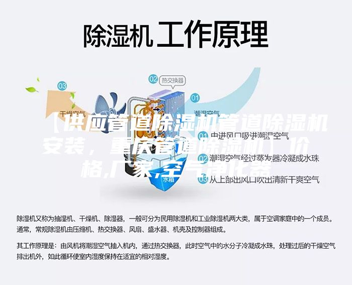 【供应管道除湿机管道除湿机安装，重庆管道除湿机】价格,厂家,空气净化器